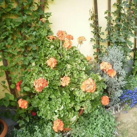 بيت ضيافة Haus Vordertiefenbach واغراين