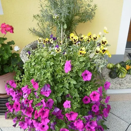 Gasthof Haus Vordertiefenbach *