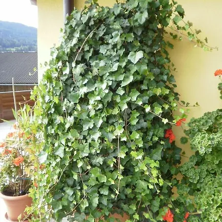 Haus Vordertiefenbach واغراين